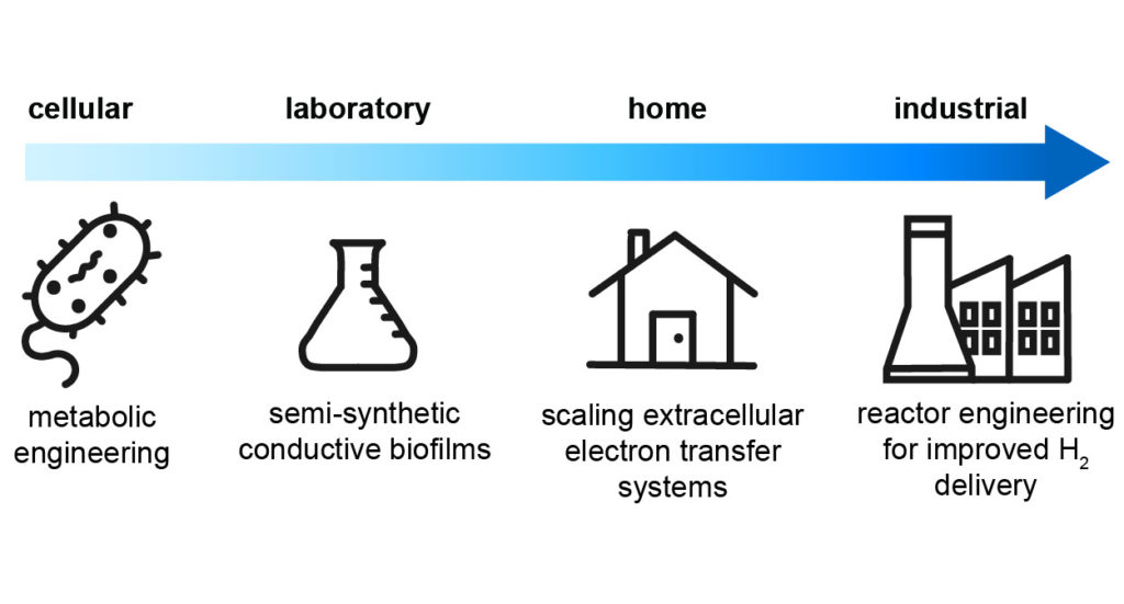 How Far Can Electromicrobial Production Go?