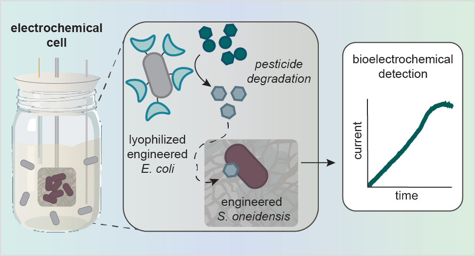 A Microbial Electrochemical Technology to Detect and Degrade Organophosphate Pesticides