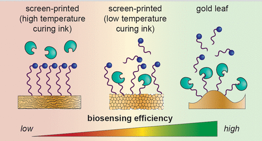 Surface Requirements for Optimal Biosensing with Disposable Gold Electrodes